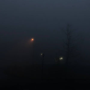 Meet your Posher, Mia